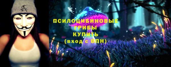 mdpv Алексин