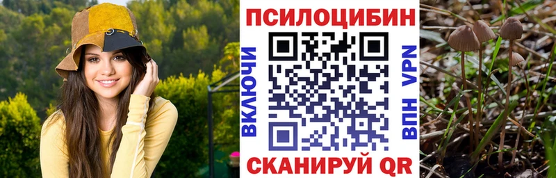 Купить  Рудня  Псилоцибиновые грибы мицелий 